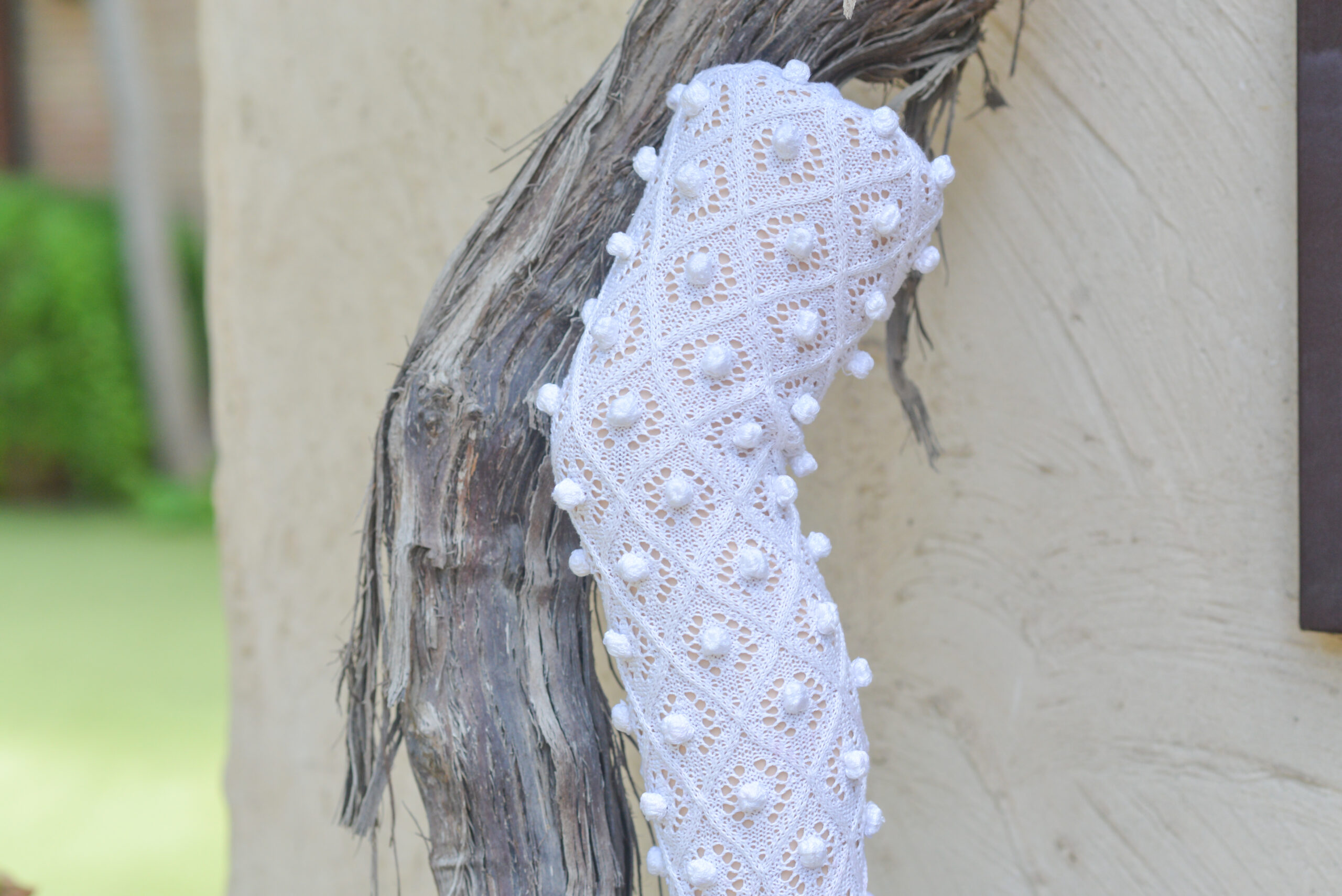 Media de garbanzos. - Imagen 3