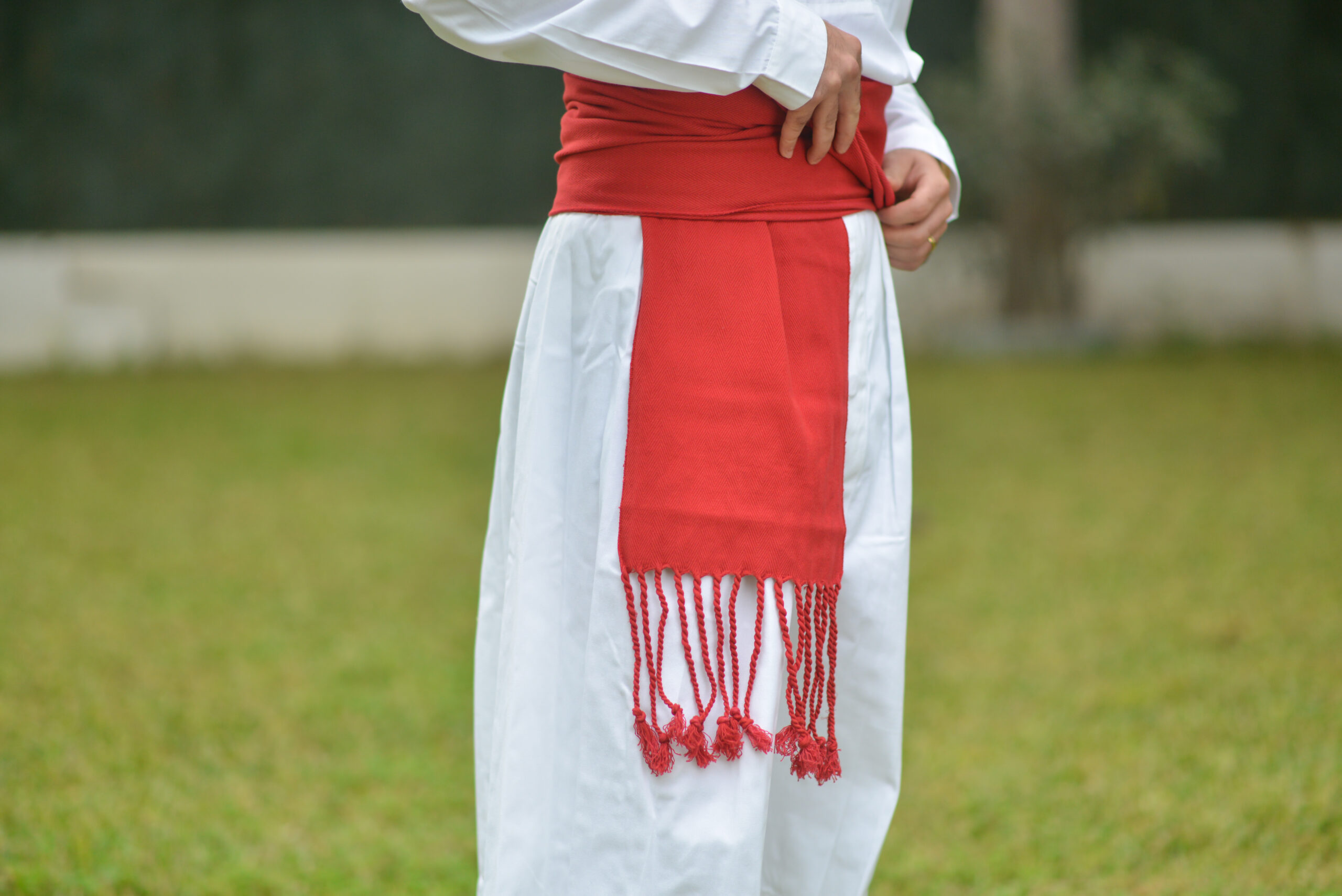 Faja Roja. - Imagen 3